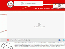 Tablet Screenshot of nationalmetalcoindia.com